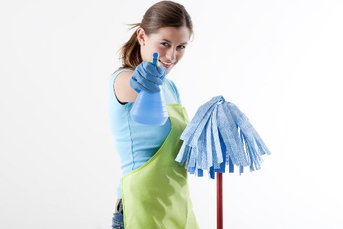 Illustration of a cookie policy page for Lambeth Cleaner
