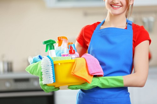 Local Lambeth cleaning service tools and supplies in a modern room
