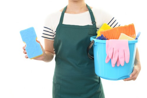 Deep cleaning an oven with specialist tools in Lambeth