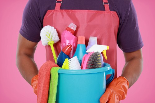 Professional upholstery cleaning in a Lambeth living room