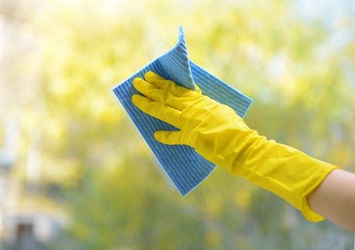 Professional carpet cleaning in a Lambeth home