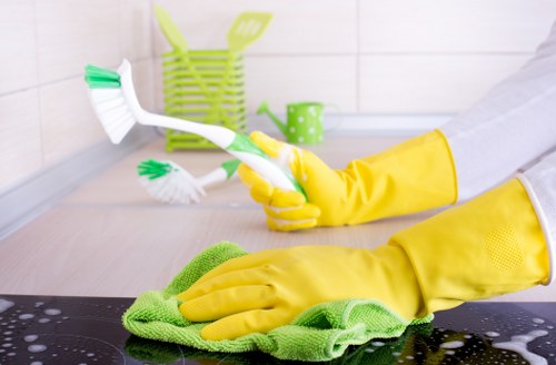 Cleaner checking safety conditions before starting work