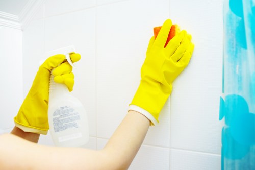 Cleaner carrying out a standard room cleaning service