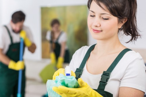 Lambeth cleaning professional handling detailed interior care